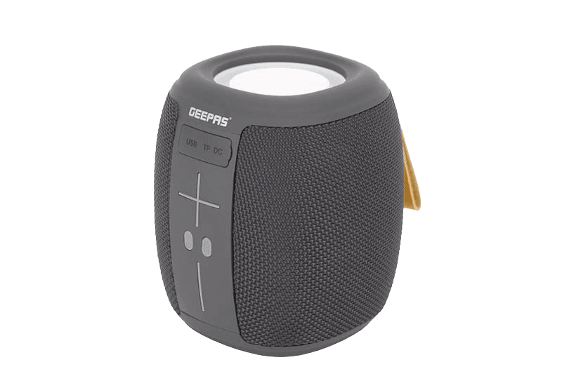 GMS 11181 N Portable speaker