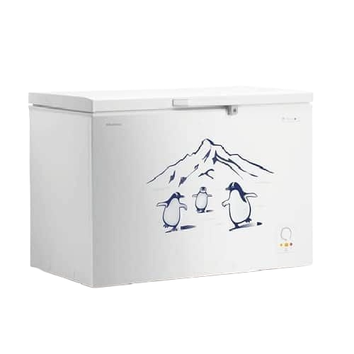 Hisense 310Litres Chest Freezer